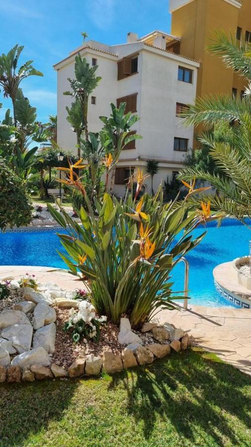 Punta Prima Nice Apartment With Sea Views Torrevieja Exteriér fotografie